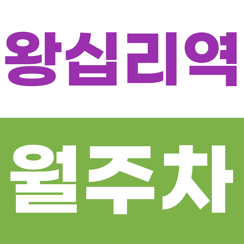 왕십리역 월주차 | 성동구 교통의 요충지! 1톤 화물차도 OK, 이중주차 없는 차단기 명당 대표 이미지