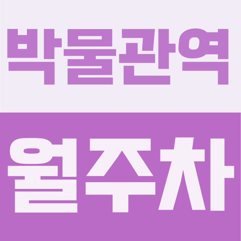박물관역 월주차 | 거북공원·학세권 중심, 12만원 대형·RV 자주식 주차장 완벽 해부 대표 이미지