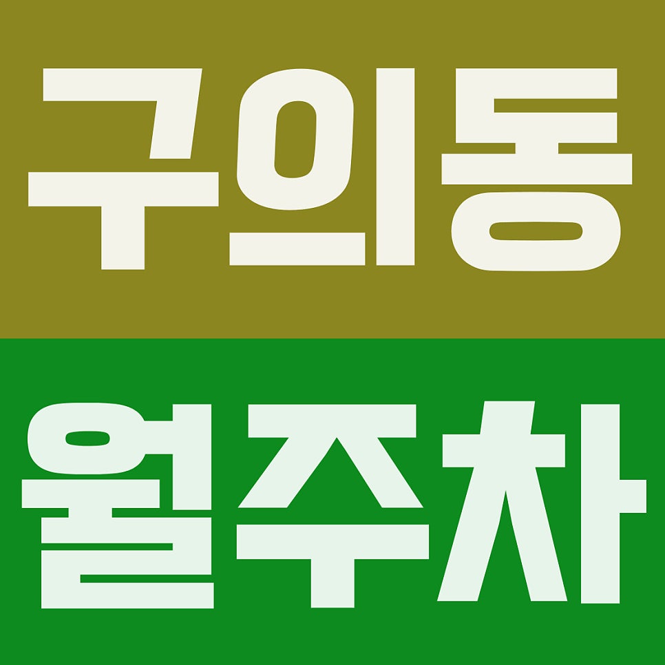 구의동 월주차 | 구의역 도보 8분, 주차 스트레스 제로! 13만 원대 '자주식 지정석' 주차장 대표 이미지