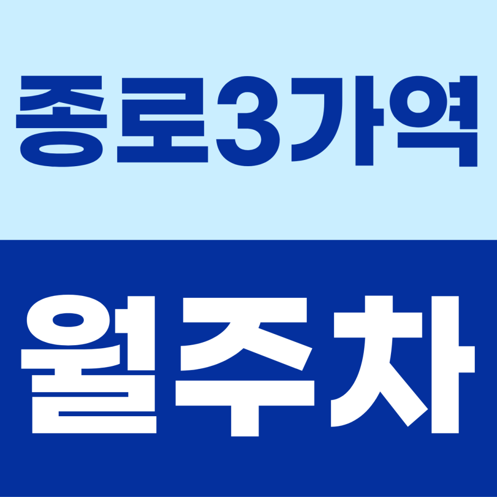 종로3가역 월주차 | 종로 한복판의 주차 전쟁 종결! 세단을 위한 문콕 없는 기계식 안심 명당 대표 이미지