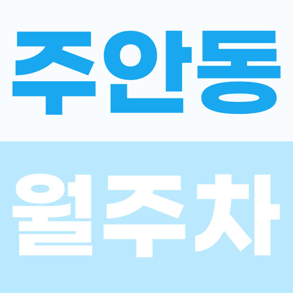 [2026] 주안동 월주차 추천 | 눈·비 걱정 없는 지하 자주식 명당, SUV도 안심 주차 (24523번) 대표 이미지