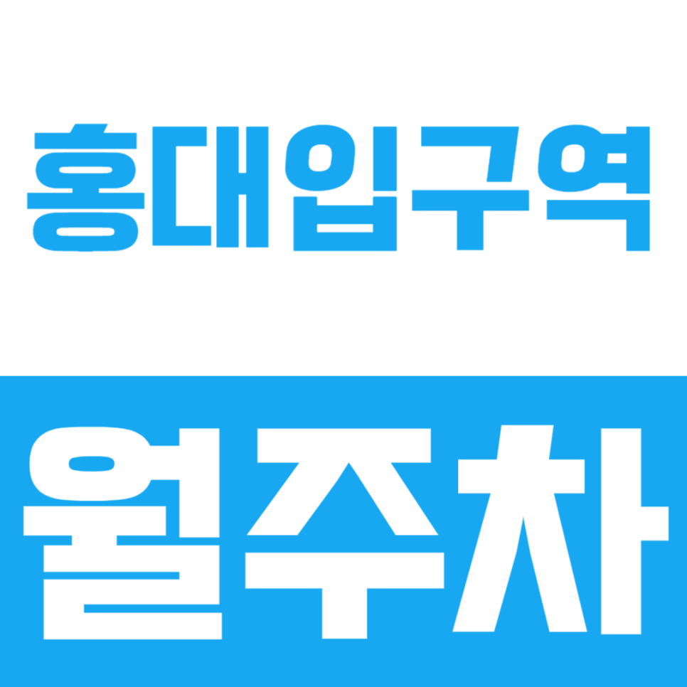 홍대입구역 월주차ㅣ주차난 속 나만의 주차공간 확보하기 대표 이미지