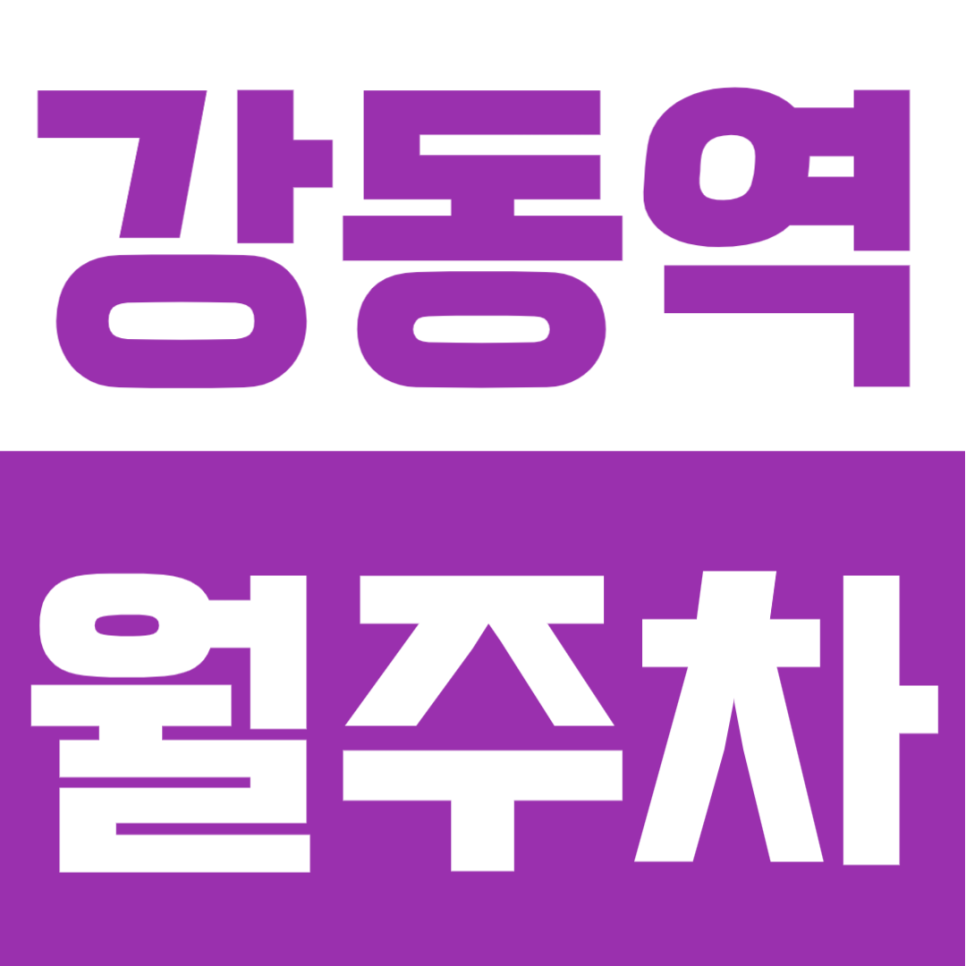 강동역 월주차ㅣ2번 출구 도보 1분 초역세권! SUV도 스트레스 없는 24시간 자주식 주차 명소 대표 이미지
