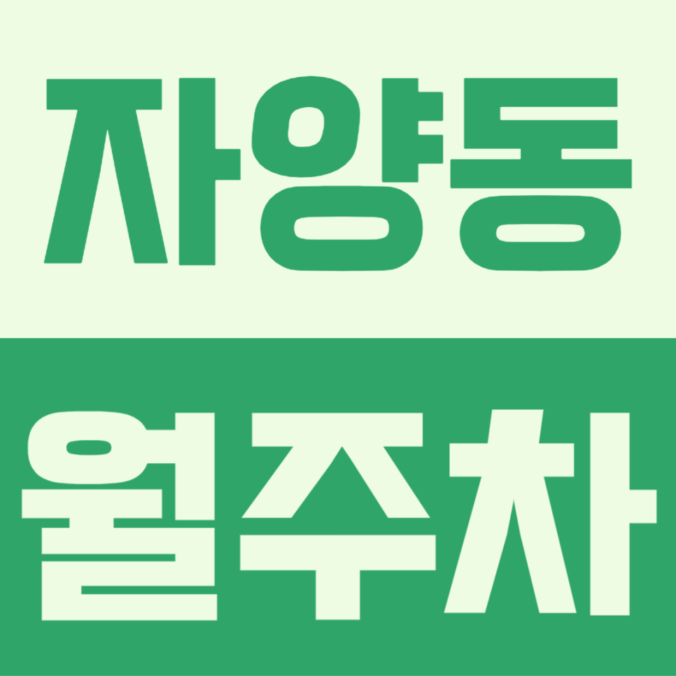 자양동 월주차ㅣ주차난 매우 심한 자양동 속 월주차장 쉽게 구하기 대표 이미지