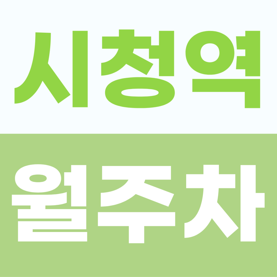 [2026] 시청역 월주차: 청계천로 대로변! 대형 SUV도 가능한 지하 자주식 명당 (24522번) 대표 이미지