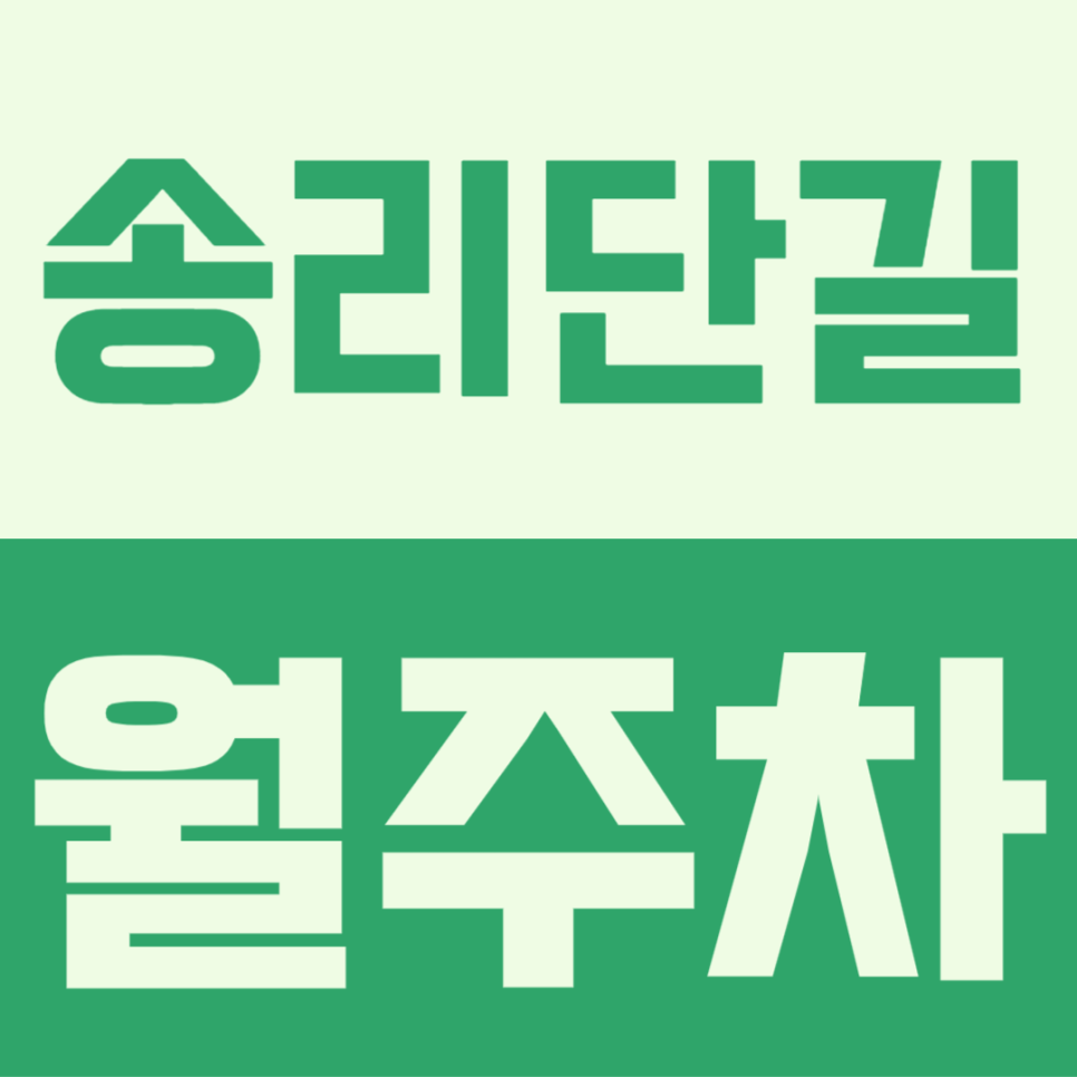 송리단길 월주차ㅣ석촌호수 인근 송리단길 속 주차문제 해결하기 대표 이미지