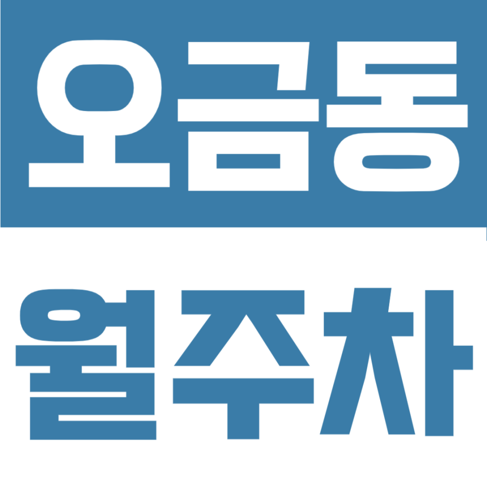 송파 오금동 월주차 명당 발견, 피스카바이라피아노 24시 자주식 주차장 추천 대표 이미지