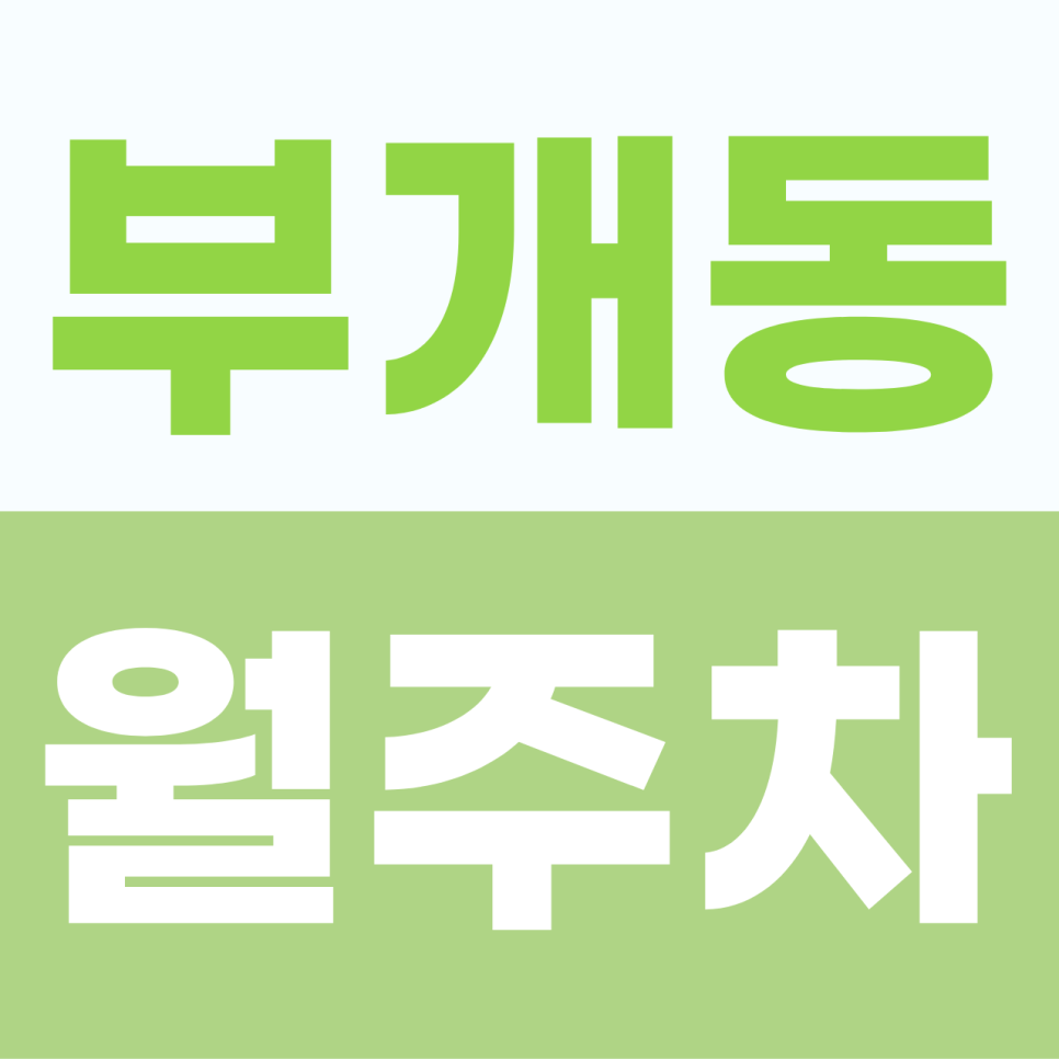 부개동 월주차, 주차장 요정이 꽁꽁 숨겨둔 평일 주간 가성비 보물자리 발견 대표 이미지