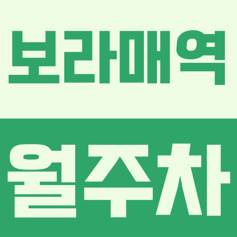 보라매역 월주차 추천｜역세권 인근 주차장 찾는 분들이라면 확인해 보세요 대표 이미지