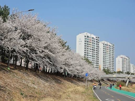 의정부 효자역 주차장 | 부용천 산책부터 행정타운 맛집 탐방까지! 주만사 추천 주차장