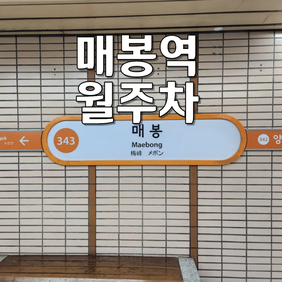 매봉역 월주차ㅣ도곡동 월 7만 원 100% 자주식 SUV 가능 야간 월정기 주차장 대표 이미지