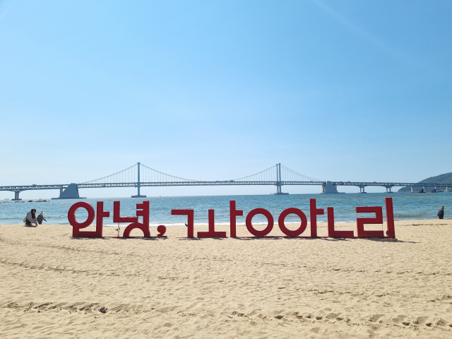광안리 주차 지옥에서 살아남기 (해링턴 타워 광안 디오션 당일권 내돈내산 후기) 대표 이미지