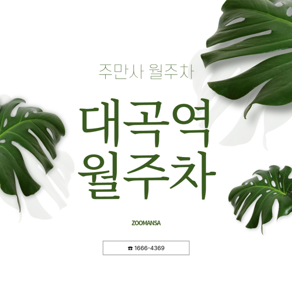 대곡역 월주차: 한 달 2만 원?! 대형 SUV도 안심하는 초가성비 야간 자주식 주차장 대표 이미지