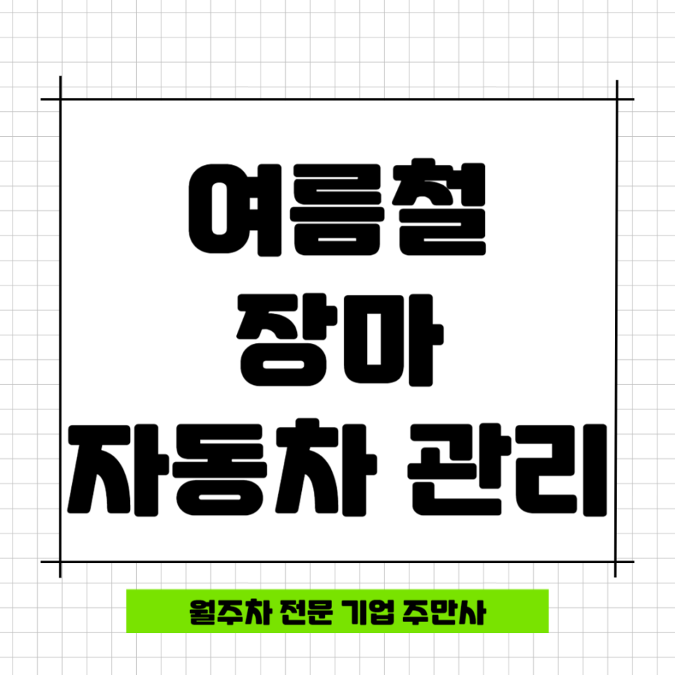 여름 장마철 자동차 관리 TIP 대표 이미지