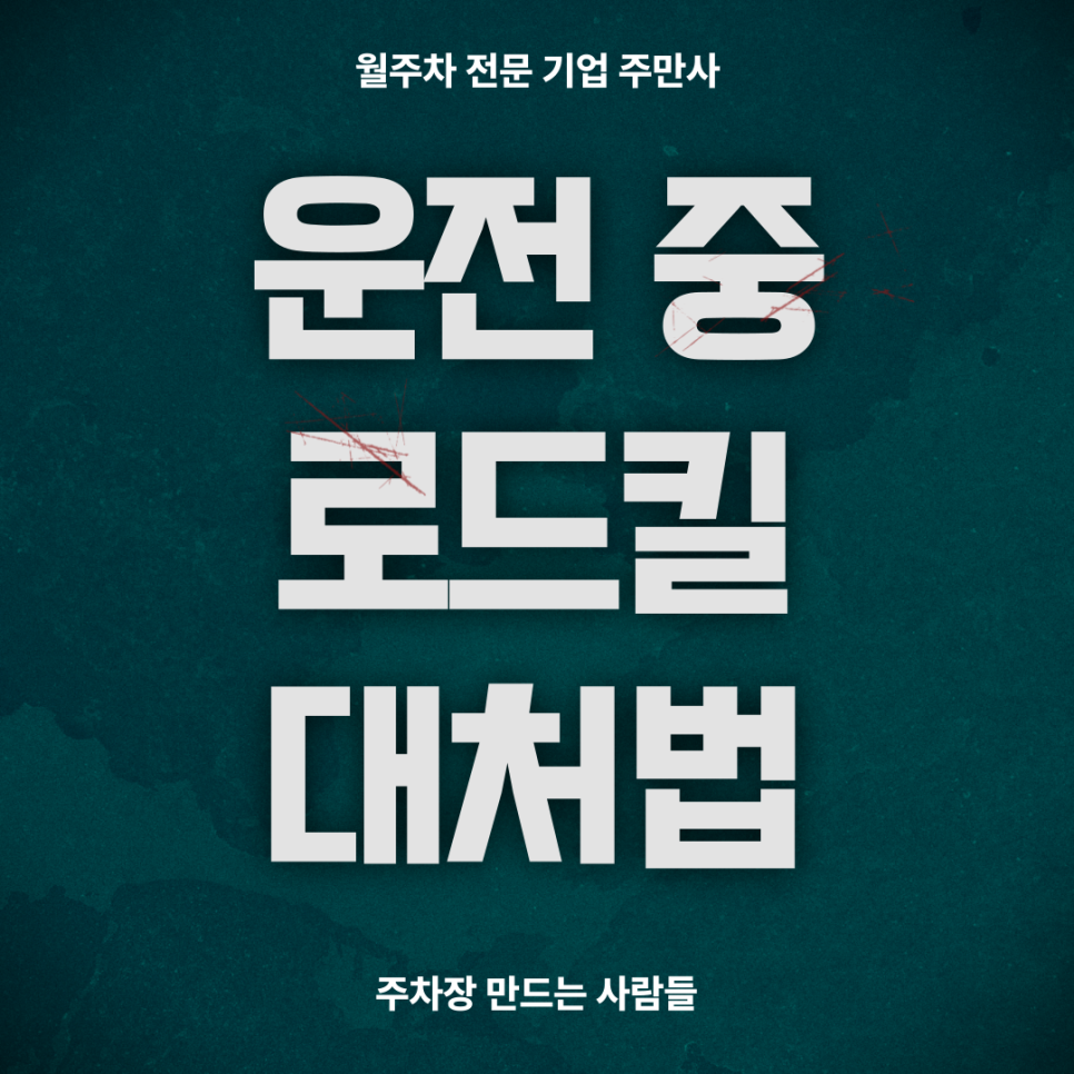 운전중 로드킬 사고가 났을때 대처법 대표 이미지