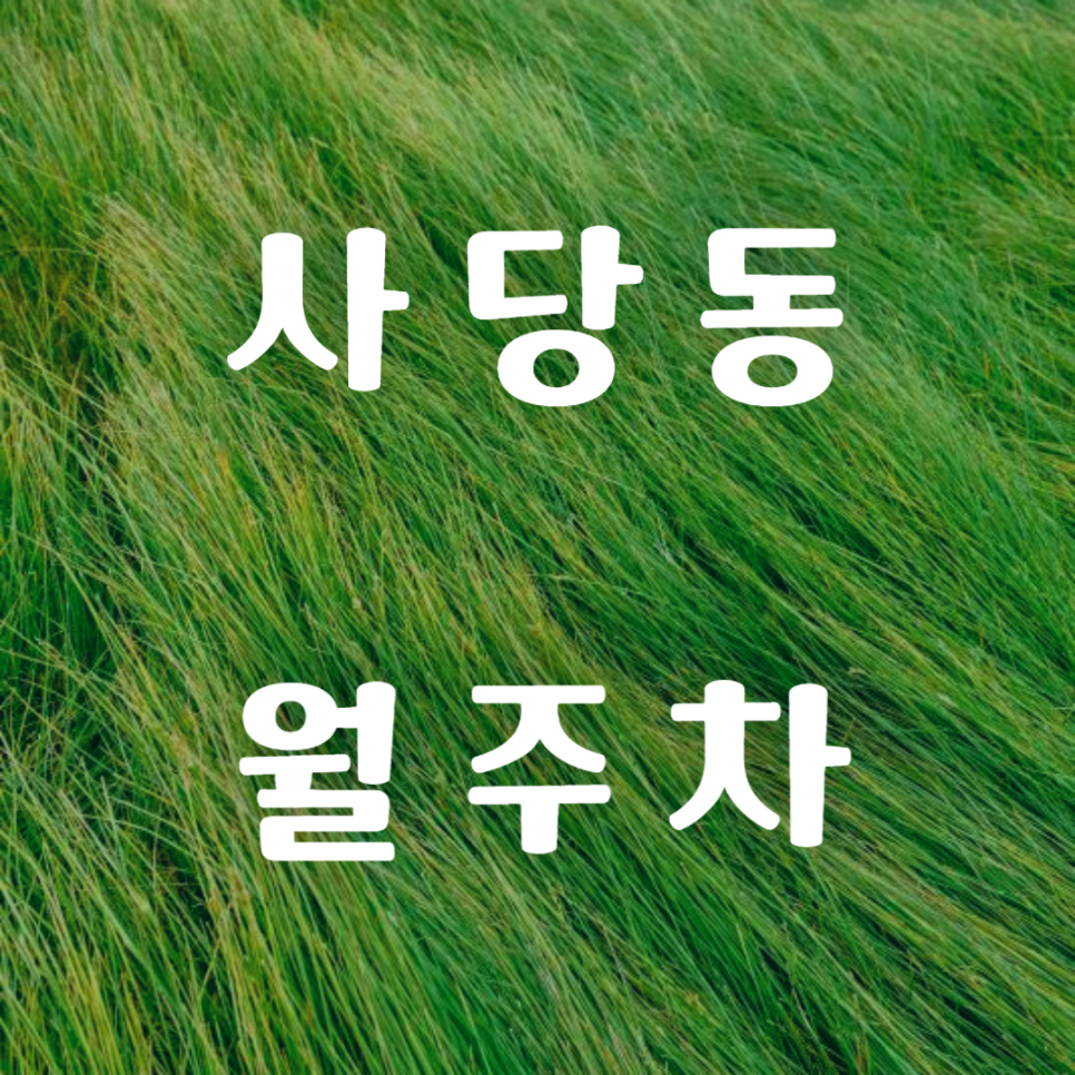 사당동 월주차 / 남성역, 까치산 근린공원 도보 1분 대표 이미지