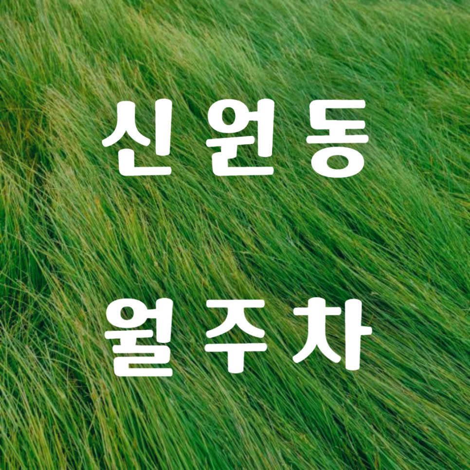 신원동 월주차 / 신림역 도보 5분,  신원시장 도보 1분 대표 이미지