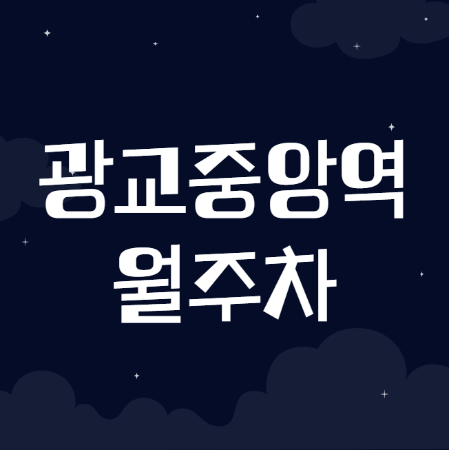 광교중앙역 월주차 / 광교중앙역 도보 3분 단일주차 대표 이미지