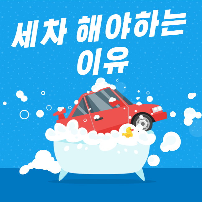 세차를 해야하는 이유 대표 이미지