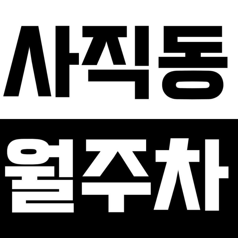 [신규] 사직동 월주차_경복궁역 도보 5분 근린공원 앞 추천매물 단독 주차장 대표 이미지