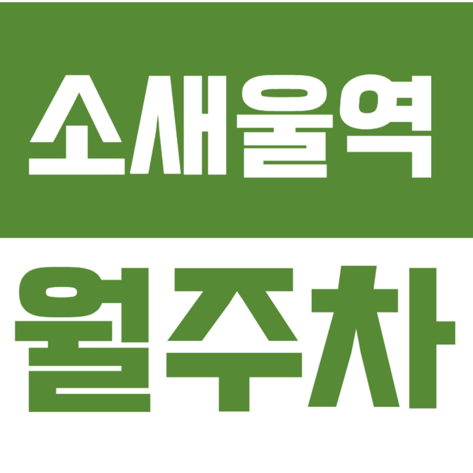 소새울역 월주차_역세권 월주차장이10만원 미만으로 이용이 가능하다고? 대표 이미지