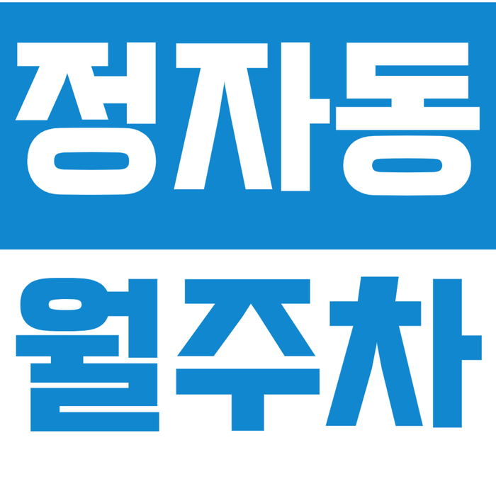 [신규] 분당 정자동 월주차_정자역 도보 5분 거리 전일제 단독 주차장 대표 이미지