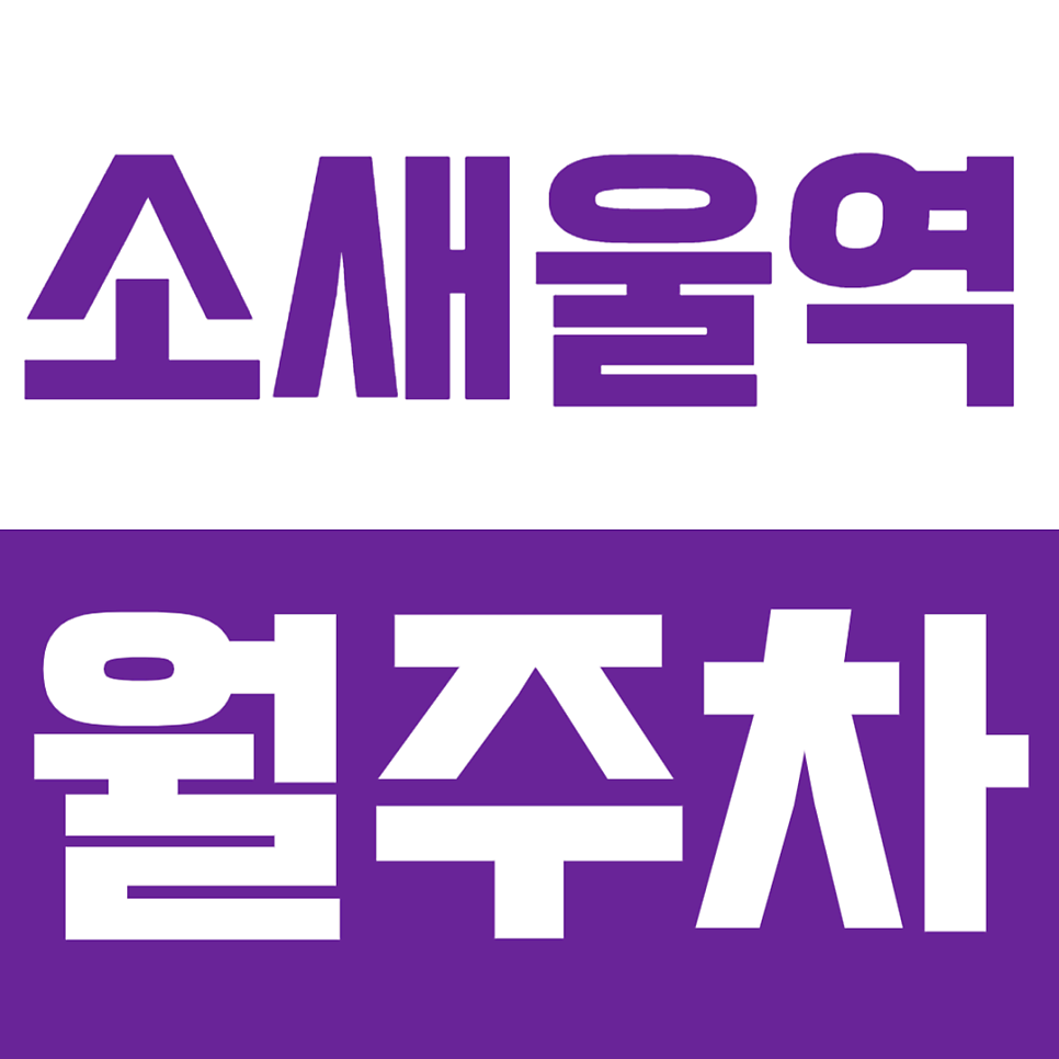 소새울역 월주차_역세권 도보 5분 거리 월주차장 10만원 미만 금액으로 이용하기! 대표 이미지