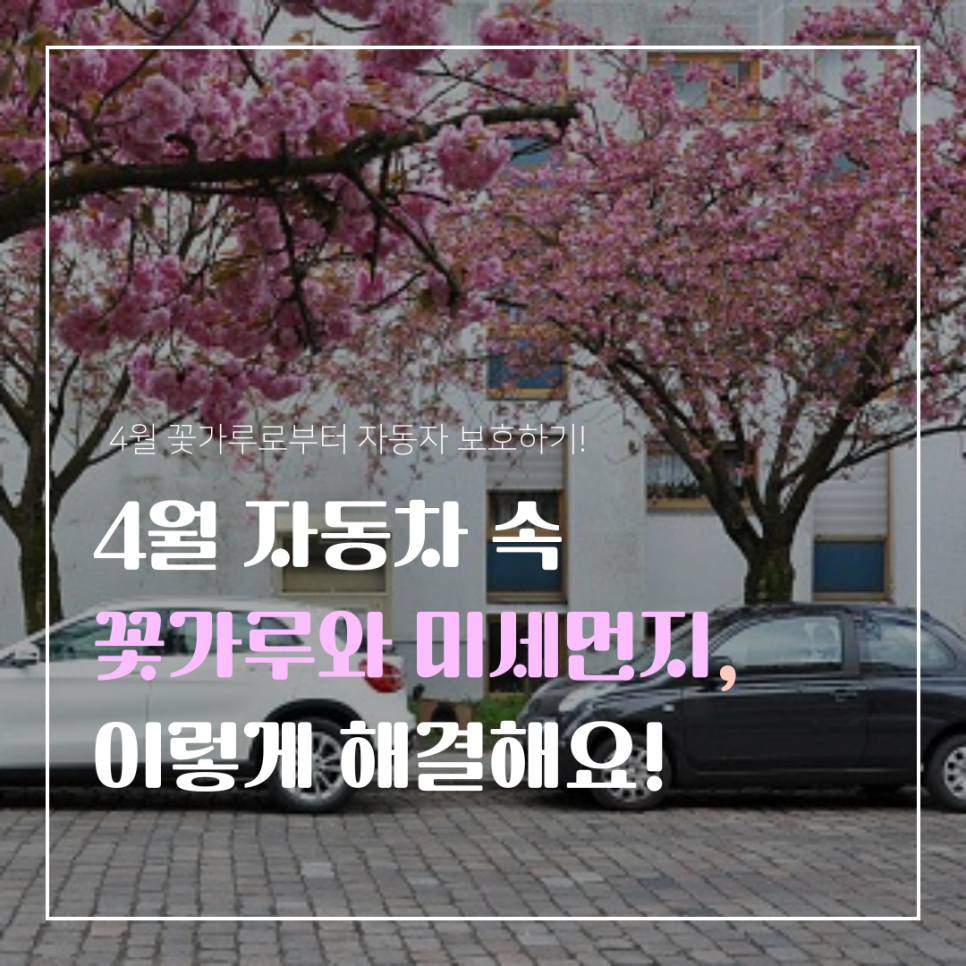 4월 꽃가루와 미세먼지, 차량 관리법 제대로 알아보고 비용 절감까지! 대표 이미지