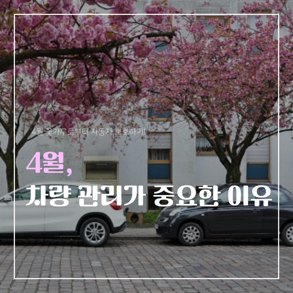 4월 꽃가루와 미세먼지, 차량 관리법 제대로 알아보고 비용 절감까지!