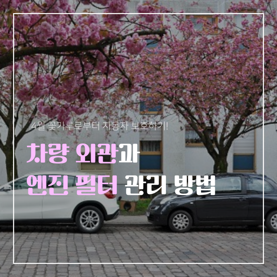 4월 꽃가루와 미세먼지, 차량 관리법 제대로 알아보고 비용 절감까지!