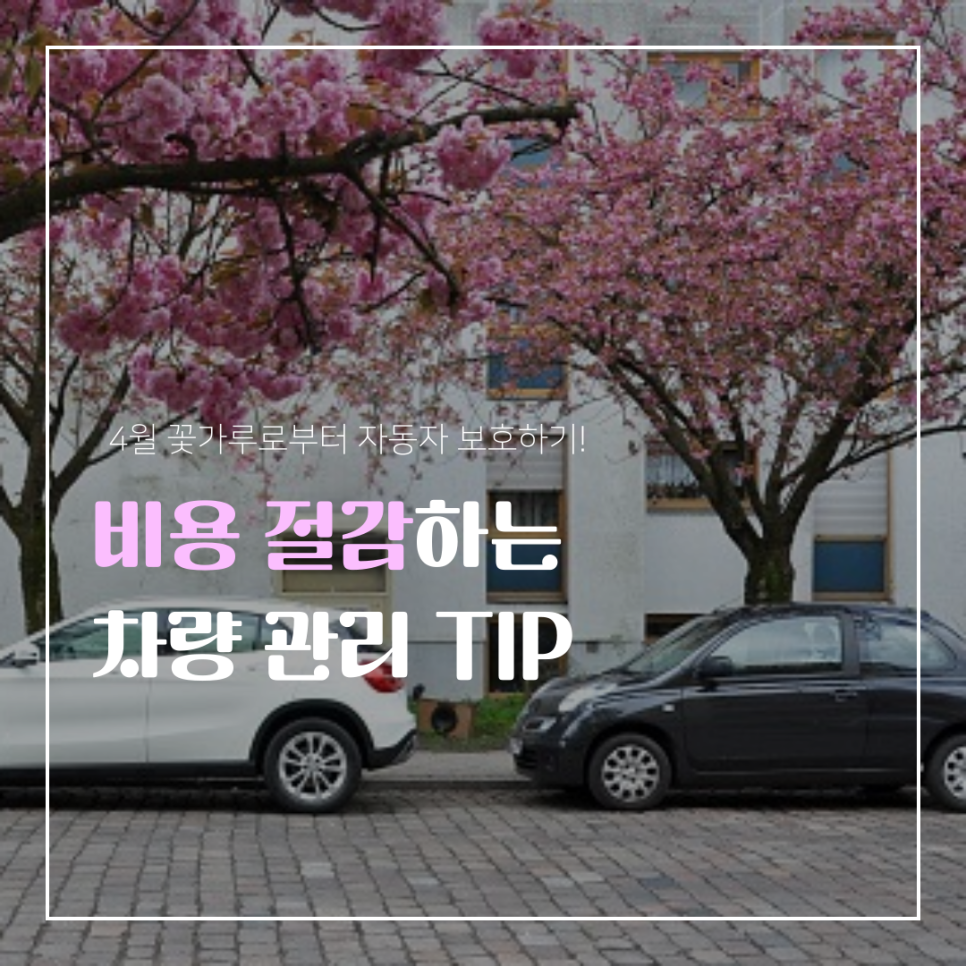 4월 꽃가루와 미세먼지, 차량 관리법 제대로 알아보고 비용 절감까지!