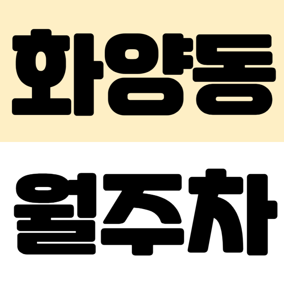 화양동 월주차 | 화양사거리·건대입구 도보권 20만원대 지정석 주차장 추천 대표 이미지