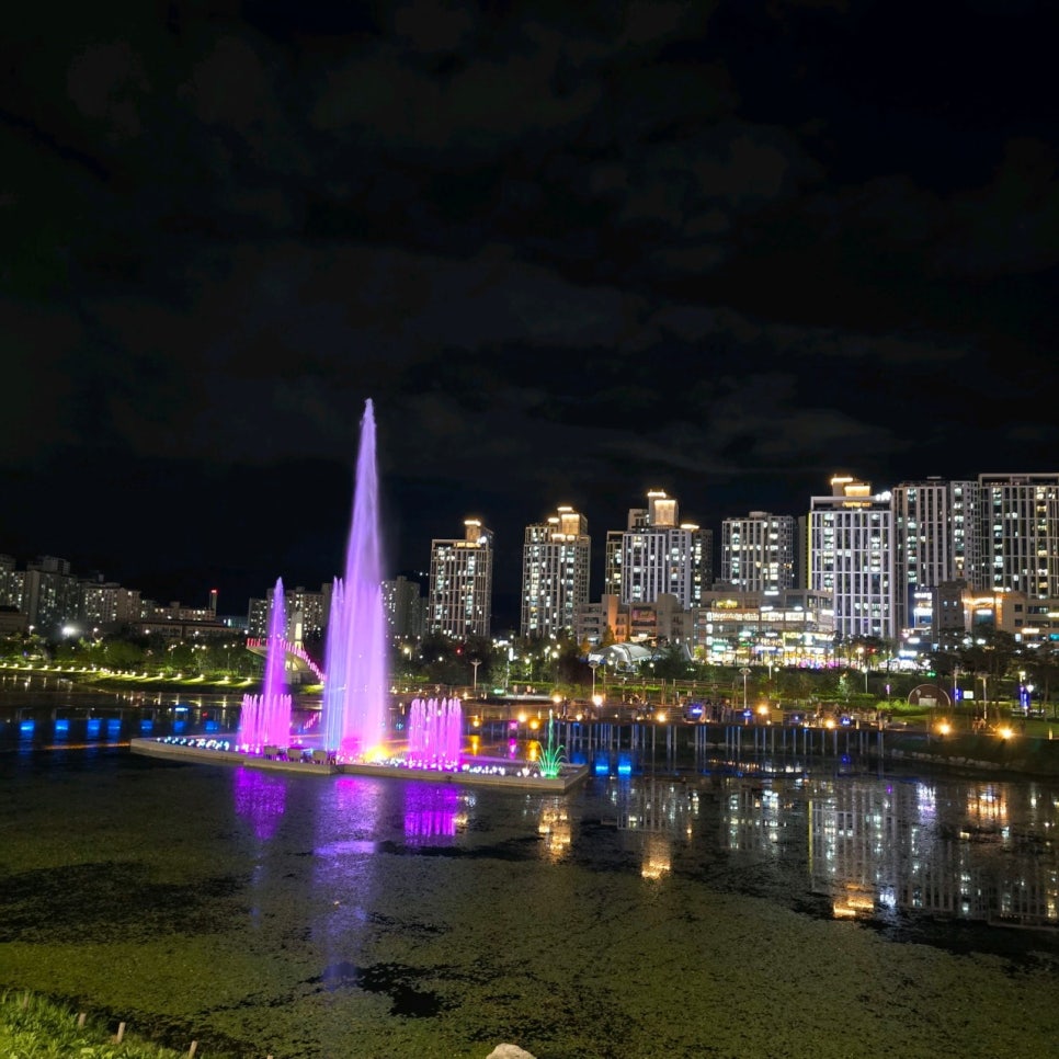옥정호수공원 주차장 공영주차장보다 가성비 좋은 주차 할인 팁 나들이 정보
