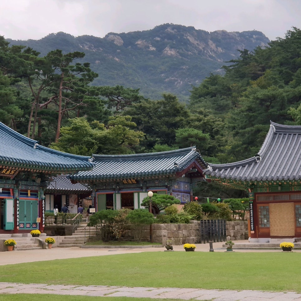 남산야외식물원 주차장 남산 둘레길 야경 산책 코스 저렴하게 주차 가능한 곳 추천