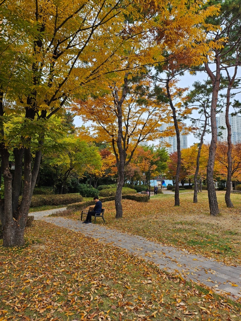 곡반정동 주차장 | 수원 곡반정동 주차 지옥 탈출법! 먹자골목 갈 때 꼭 확인해야 할 저렴한 주차장 정리