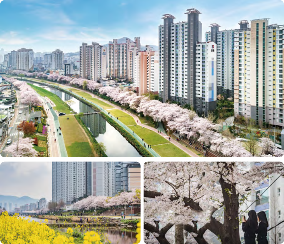 미남역 주차장 | 온천천 산책 가시나요? 미남역 근처 안전한 공유 주차장 이용 가이드