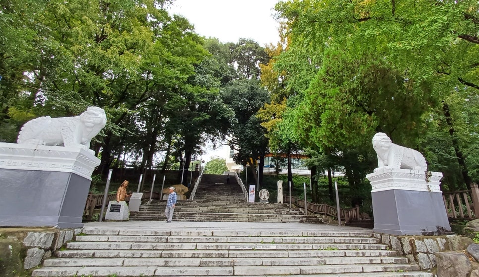 금남로4가역 주차장 | 충장로 핫플 & 광주공원 야시장 완벽 가이드 | 투루파킹 NC웨이브 주차 팁
