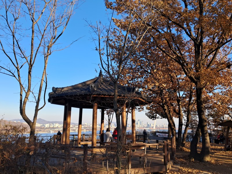 등촌역 주차장 완벽 정리! 맛집 탐방 & 쇼핑할 때 딱 좋은 주차 명당 2곳
