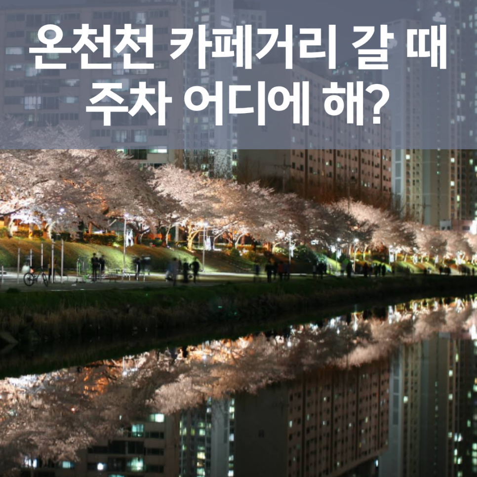 안락역 주차장 완벽 정리! 온천천 카페거리 & 안락동 맛집 탐방 시 필수 체크 대표 이미지