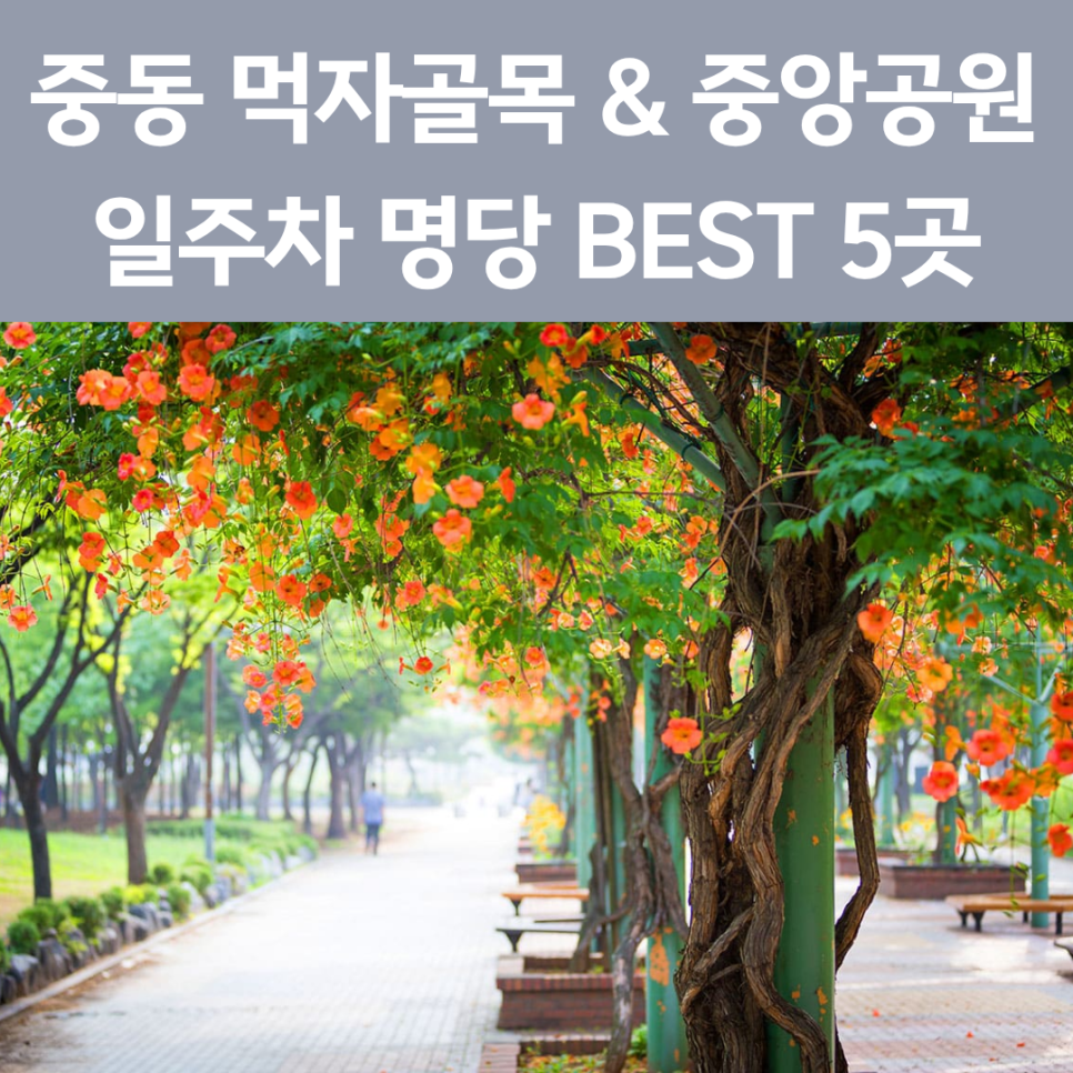 신중동역 주차장 완벽 정리! 부천중앙공원 & 먹자골목 갈 때 필수 체크 (일주차 꿀팁) 대표 이미지