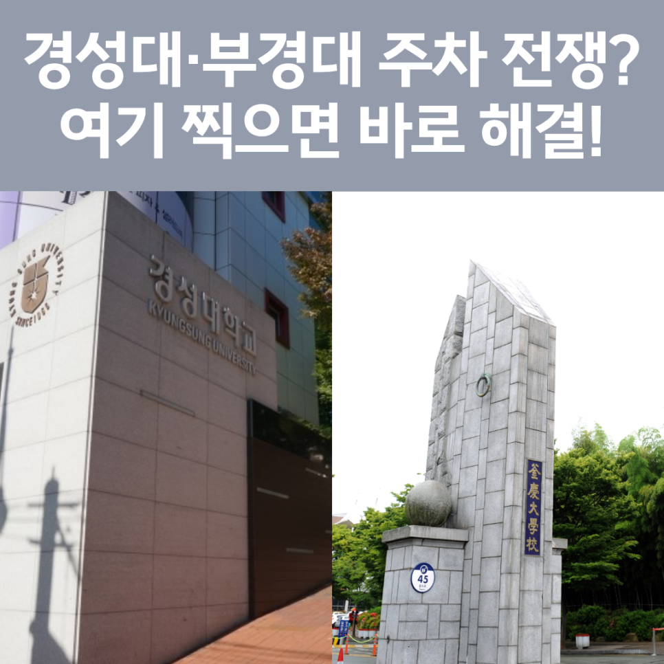 경성대 부경대 주차장 완벽 정리! 대학로 맛집 & 데이트 시 필수 체크 (일주차 꿀팁) 대표 이미지