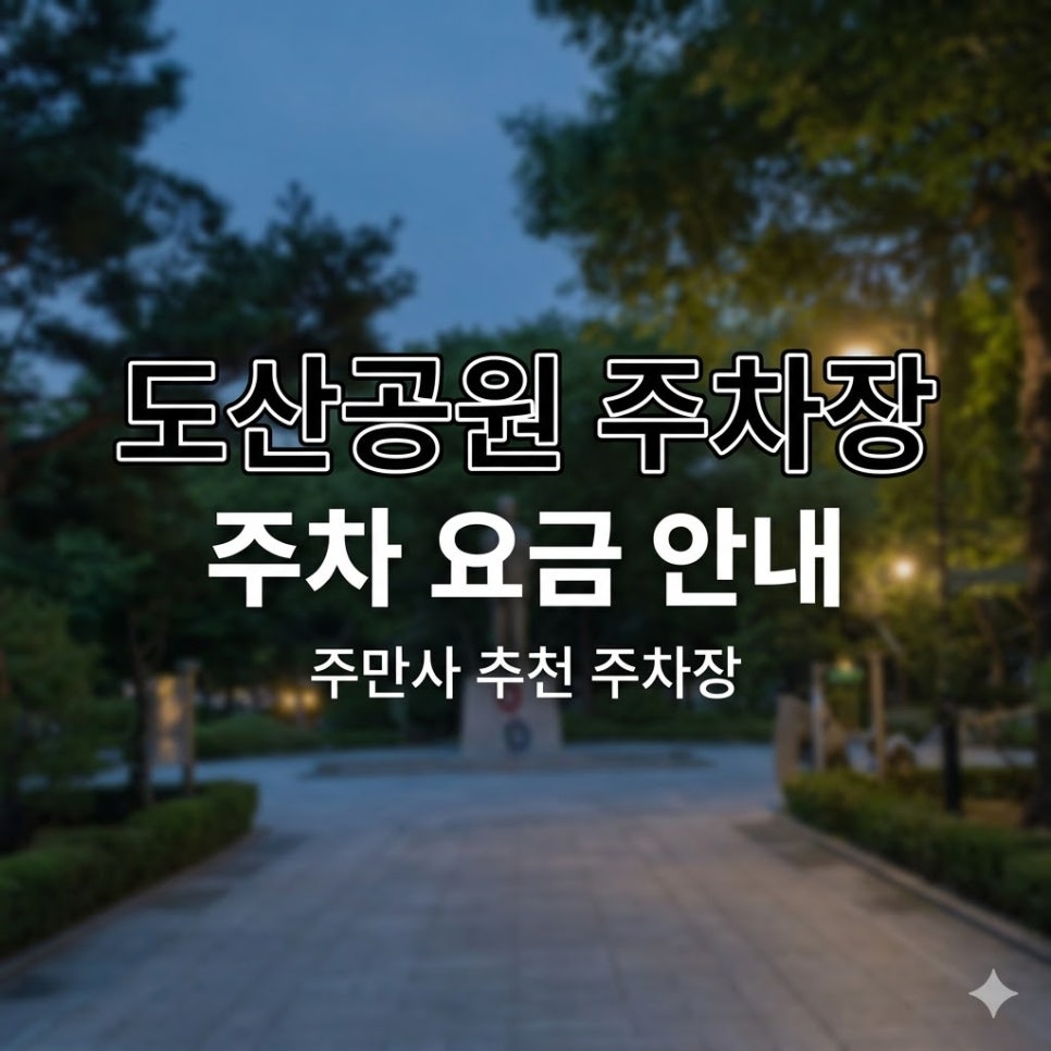 도산공원 주차장 | 압구정 1시간 4,800원부터 발렛 대행까지, 내 스케줄에 딱 맞춘 알짜배기 구역들 대표 이미지