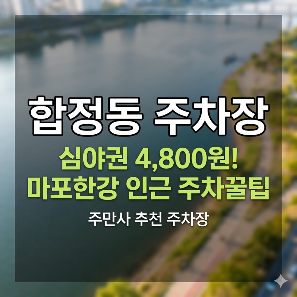 합정동 주차장 24시간 운영 요금 정보 | 합정역 인근 주차장 당일권 위치 추천 대표 이미지