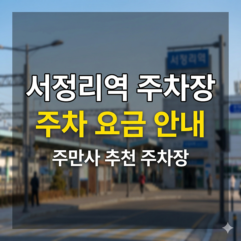서정리역 주차장 | 붐비는 서정리 전통시장 장 보러 갈 때 골목 뺑뺑이 그만, 종일권 4천 원으로 눈치 안 보고 차 두기 대표 이미지