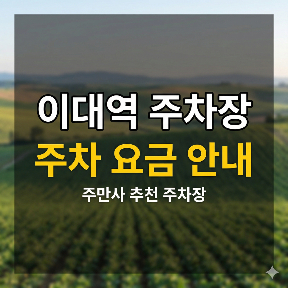 이대역 주차장 위치·요금 총정리 | 이화여대·대현동 상권, 종일권 1만 원 이하 기계식 명당 가이드 대표 이미지