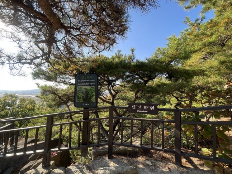 방화역 주차장 완벽 정리 | 개화산 등산·방화근린공원 나들이 시 유용한 '가성비 일주차' 추천
