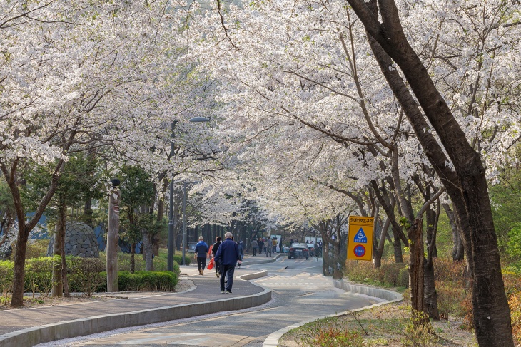 방화역 주차장 완벽 정리 | 개화산 등산·방화근린공원 나들이 시 유용한 '가성비 일주차' 추천