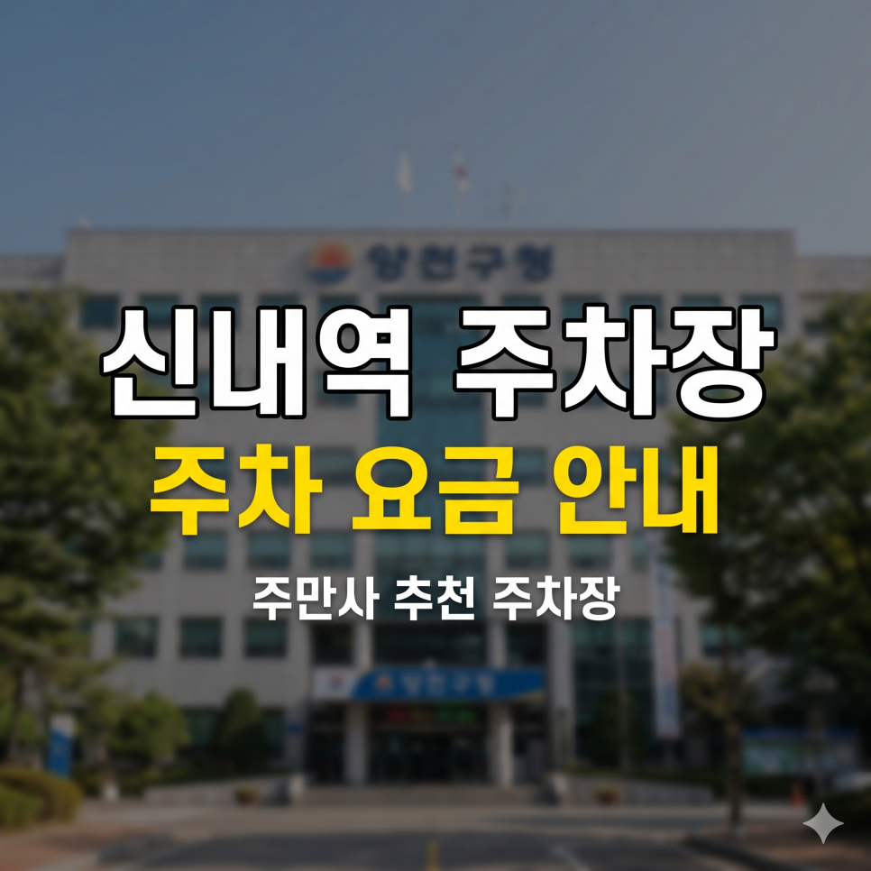 신정역 주차장 공영주차장 5부제 대체제 | 양천구청 요일제 제한 없는 사설 대체 스팟 TOP 5 대표 이미지