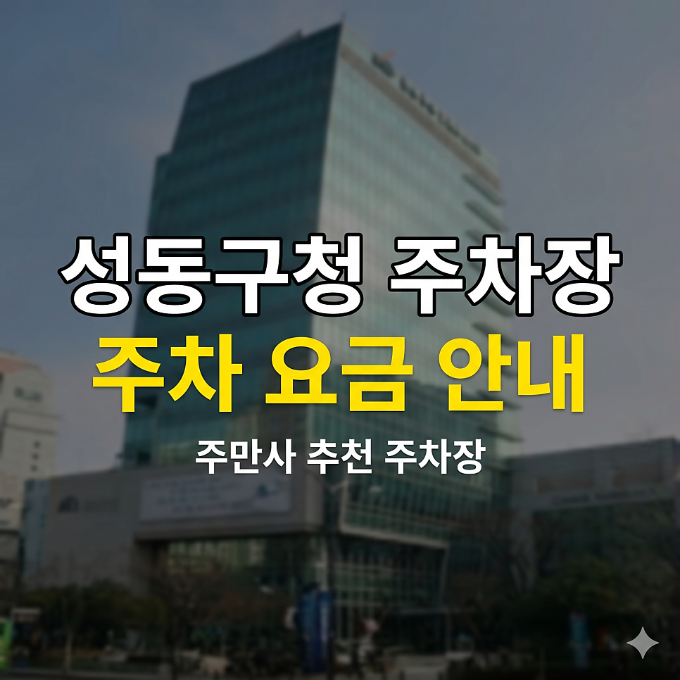성동구청 주차장 5부제 완벽 타파 | 왕십리역 요일제 없는 사설 대체 스팟 TOP 5 대표 이미지