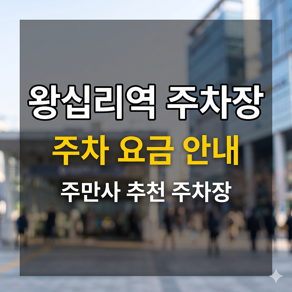 왕십리역 주차장 | 성동구청 5부제 입구 컷? 왕십리역 맘 편한 파킹 스팟 5 대표 이미지
